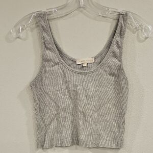 Gilded Intent Gray Ribbed Crop Tank Top